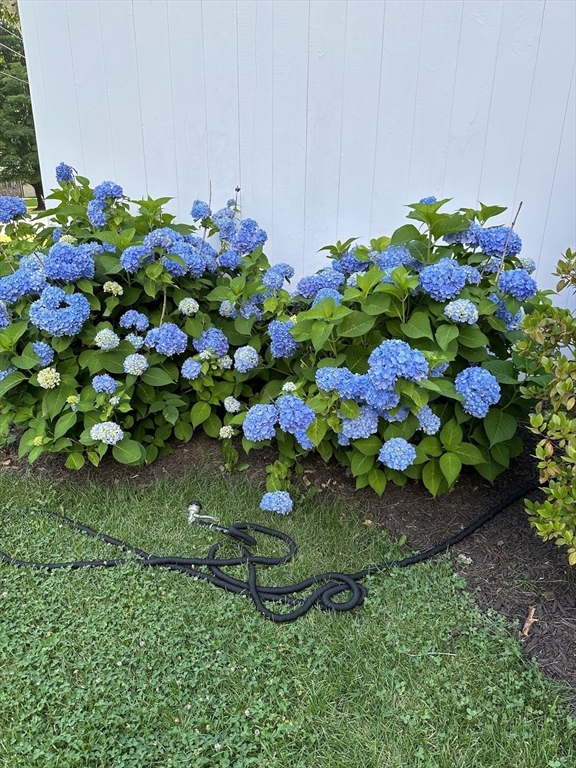 54 Huntington Road Hadley, MA 01035 - Photo 30 of 38