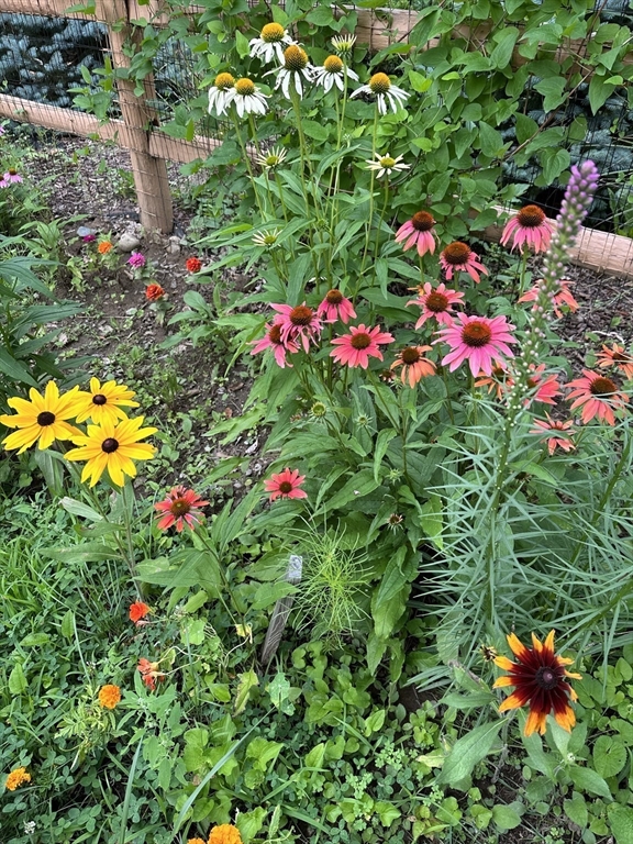 54 Huntington Road Hadley, MA 01035 - Photo 31 of 38