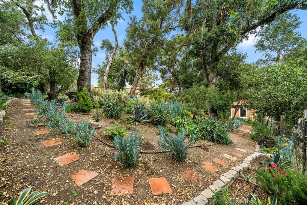 5982 Violeta Avenue Atascadero, CA 93422 - Photo 41 of 75 a pathway of a yard