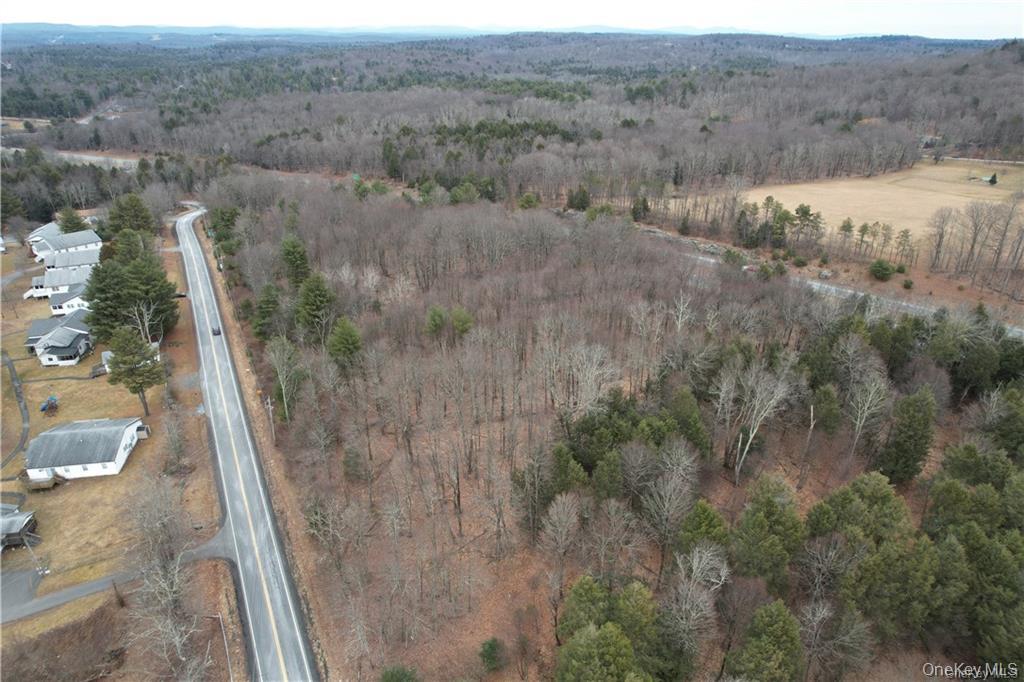 Lot 5.4 Kaufman Road Monticello, NY 12701 - Photo 15 of 45