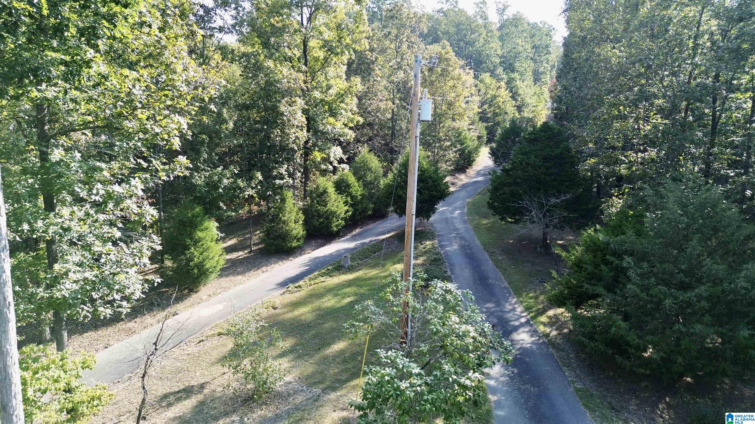 2055 Gum Pond Road Eva, AL 35621 - Photo 60 of 64