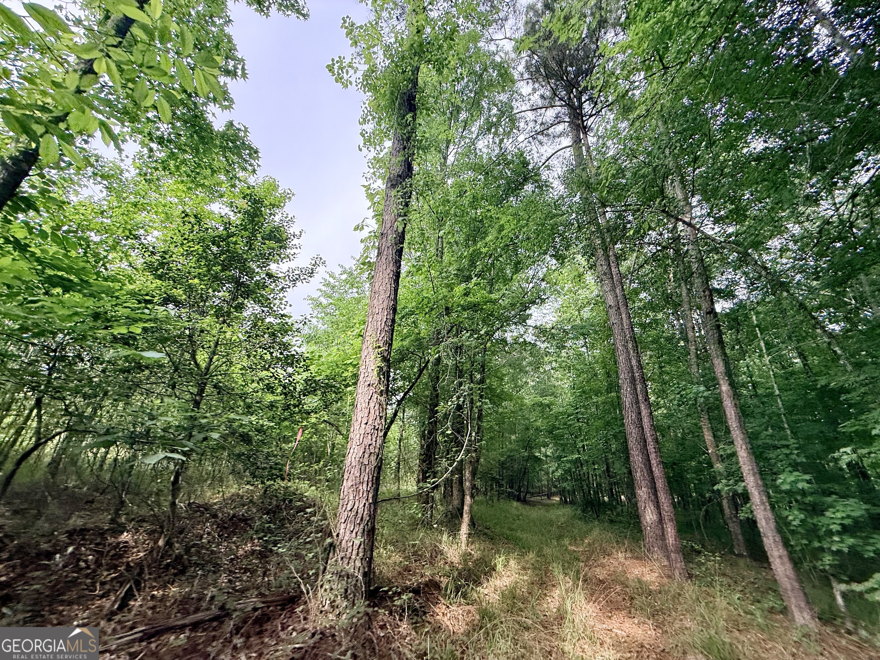 715 Fulsome Creek Road Sparta, GA 31087 - Photo 72 of 117