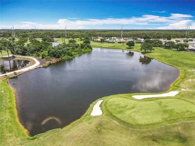 a view of a park with large trees