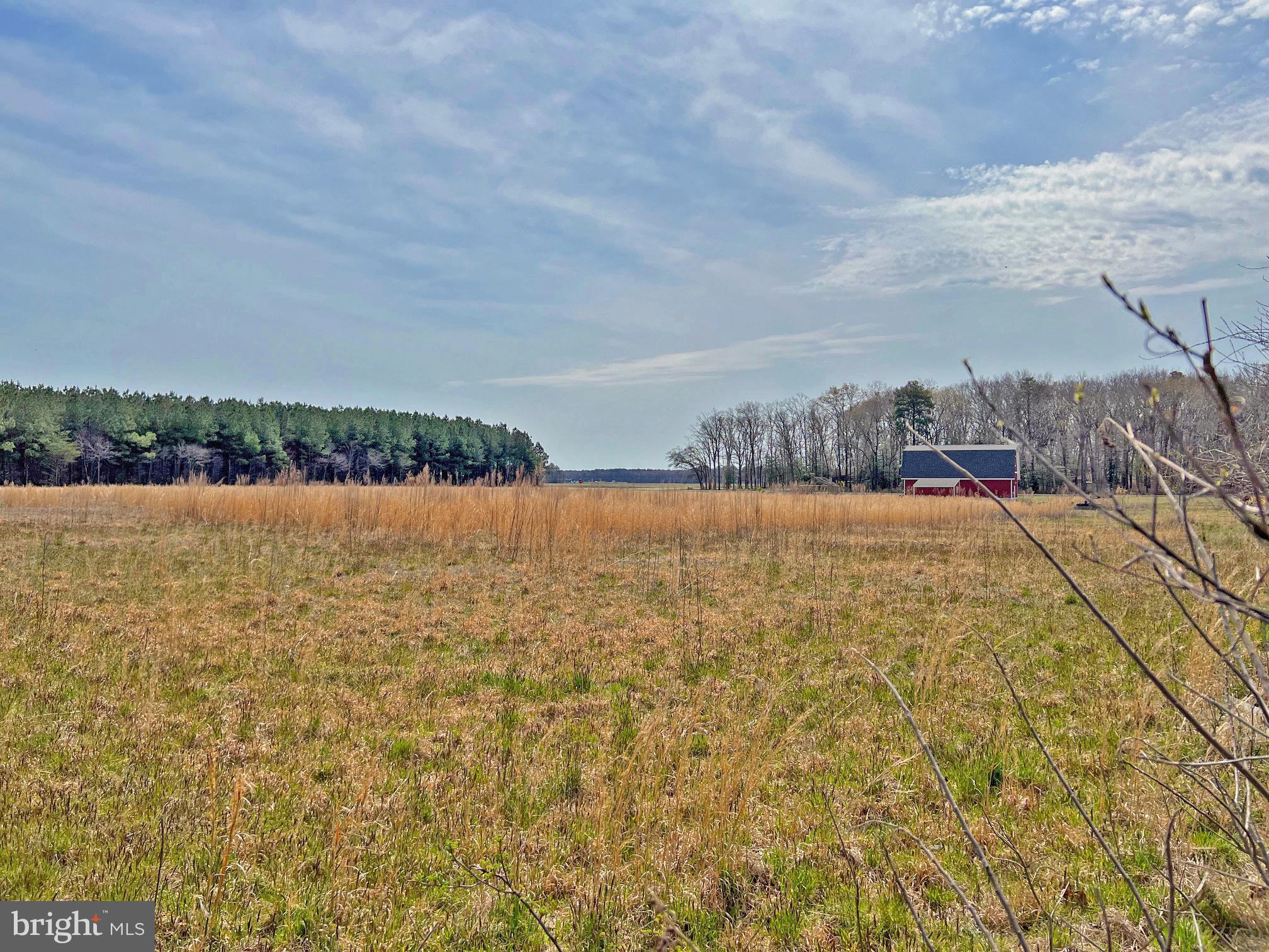 Lot #4 Avalon & Lawson Road Georgetown, DE 19947 - Photo 4 of 23 NE Rear Corner looking out to Lawson & Avalon Road