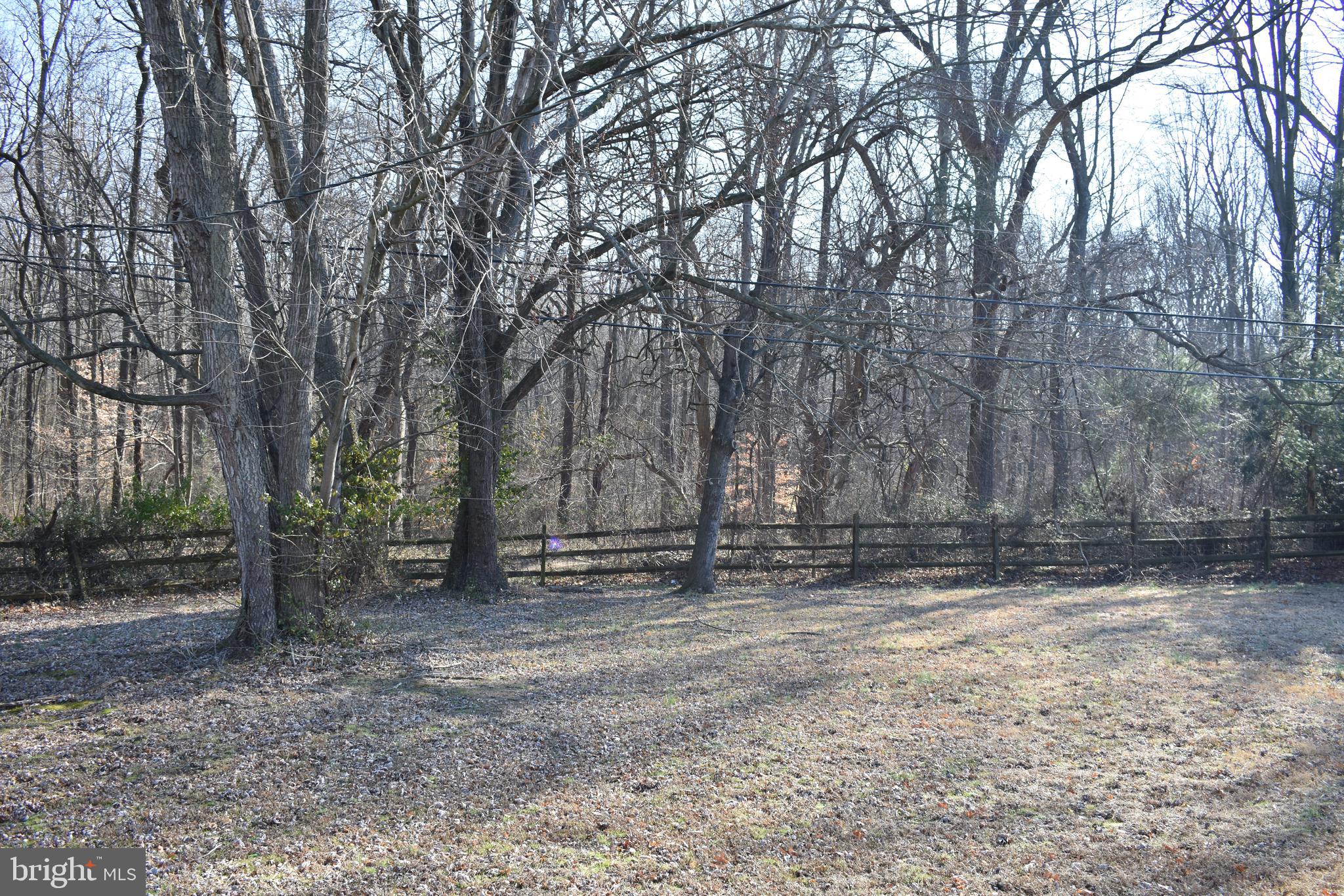 113 Anderson Road Newark, DE 19713 - Photo 3 of 22 Backyard view