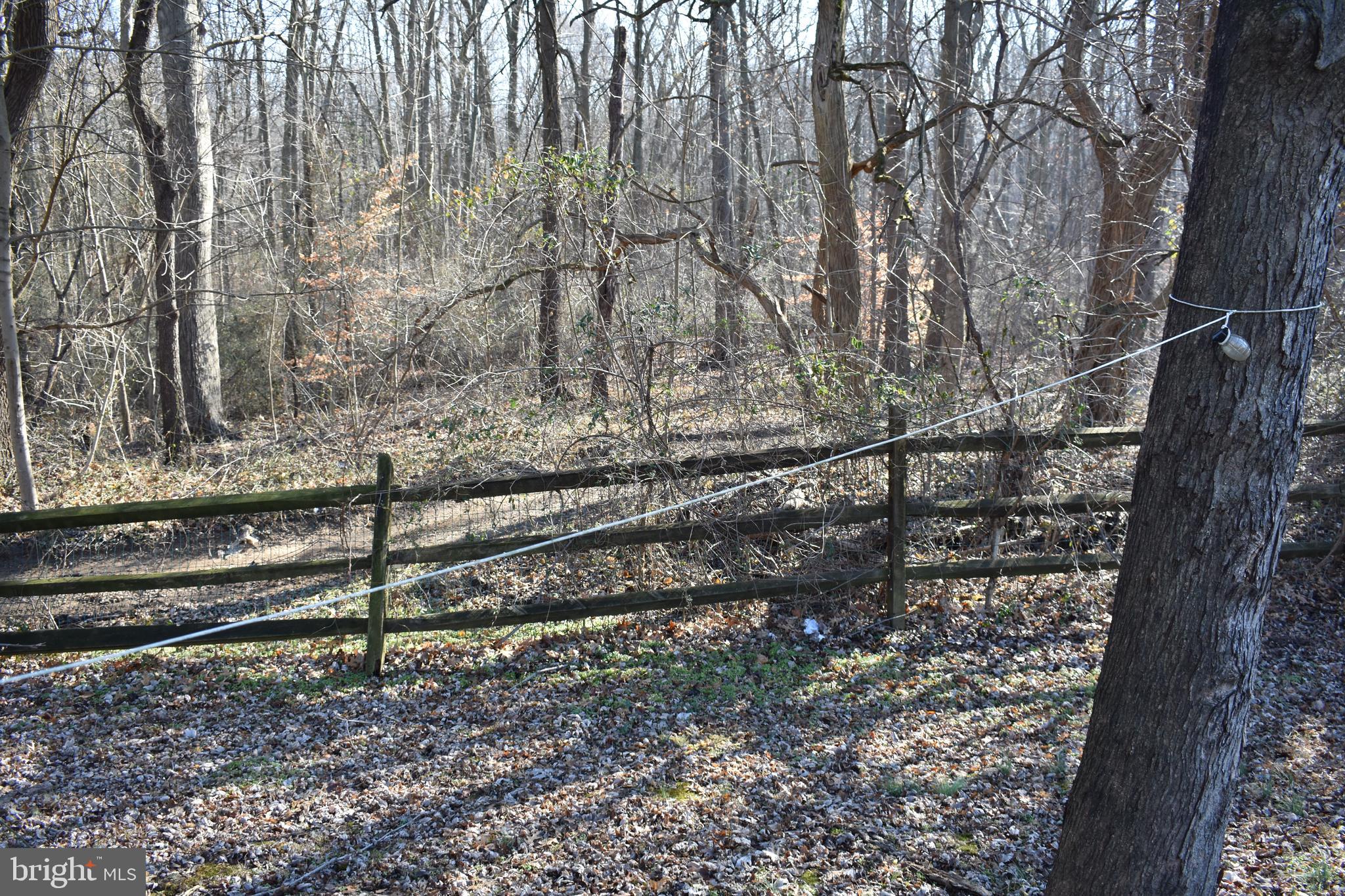 113 Anderson Road Newark, DE 19713 - Photo 5 of 22 View behind property