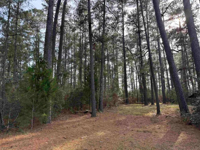 $29,500 | Tbd Georgetown Highway, Andrews, SC 29510