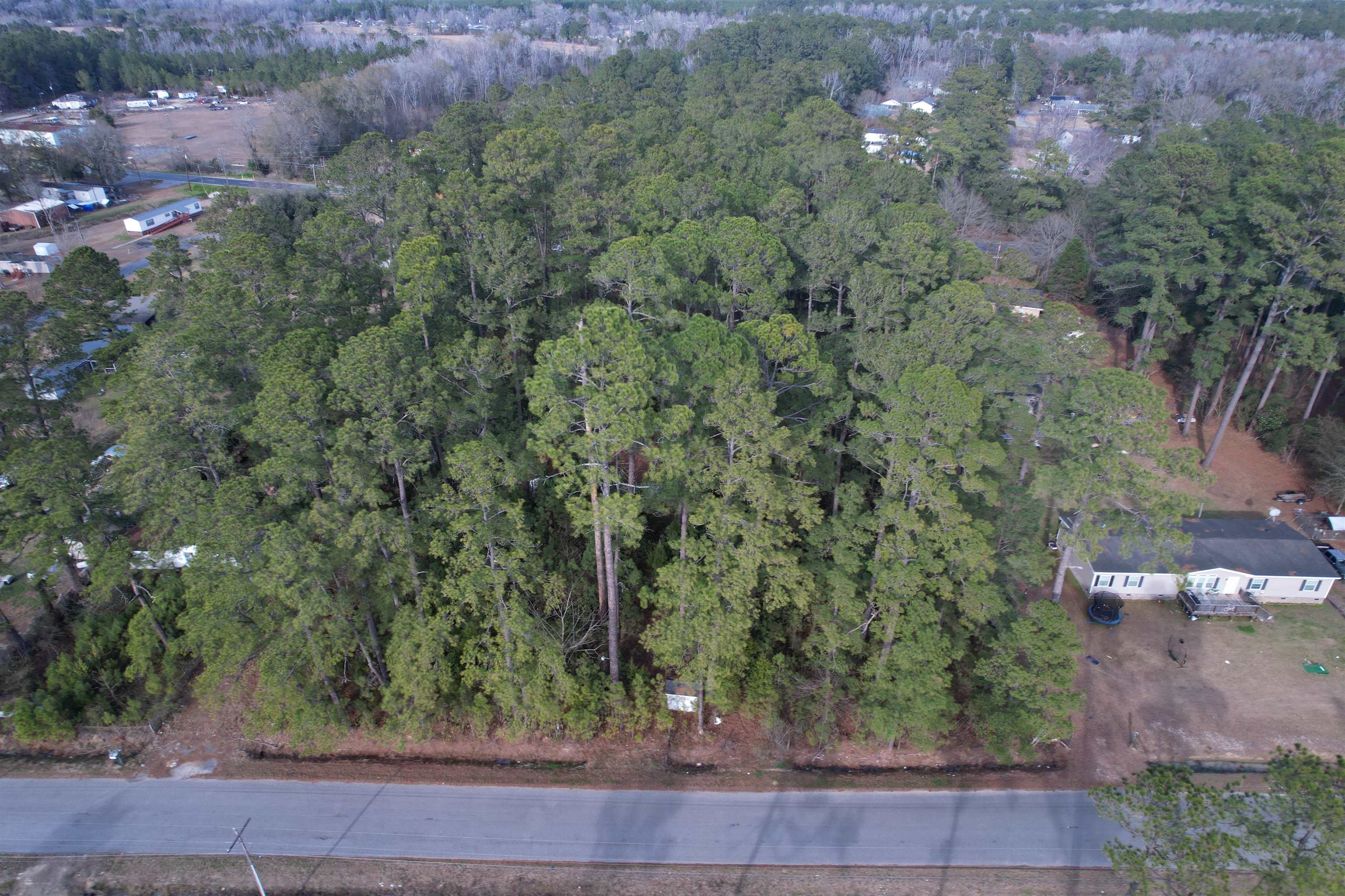 Tbd Georgetown Highway Andrews, SC 29510 - Photo 4 of 12