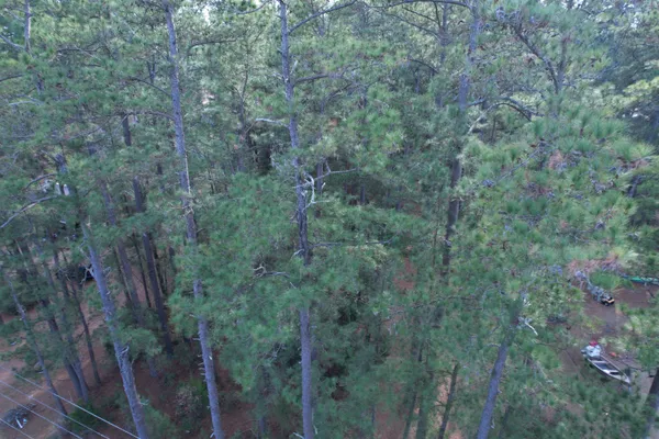 $29,500 | Tbd Georgetown Highway, Andrews, SC 29510