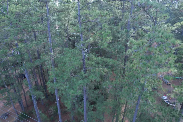 $29,500 | Tbd Georgetown Highway, Andrews, SC 29510