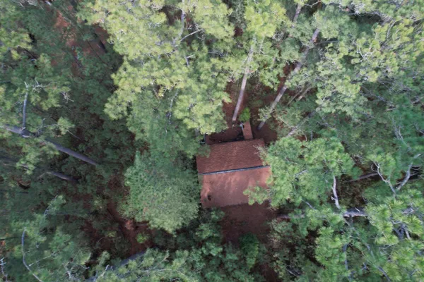 $29,500 | Tbd Georgetown Highway, Andrews, SC 29510