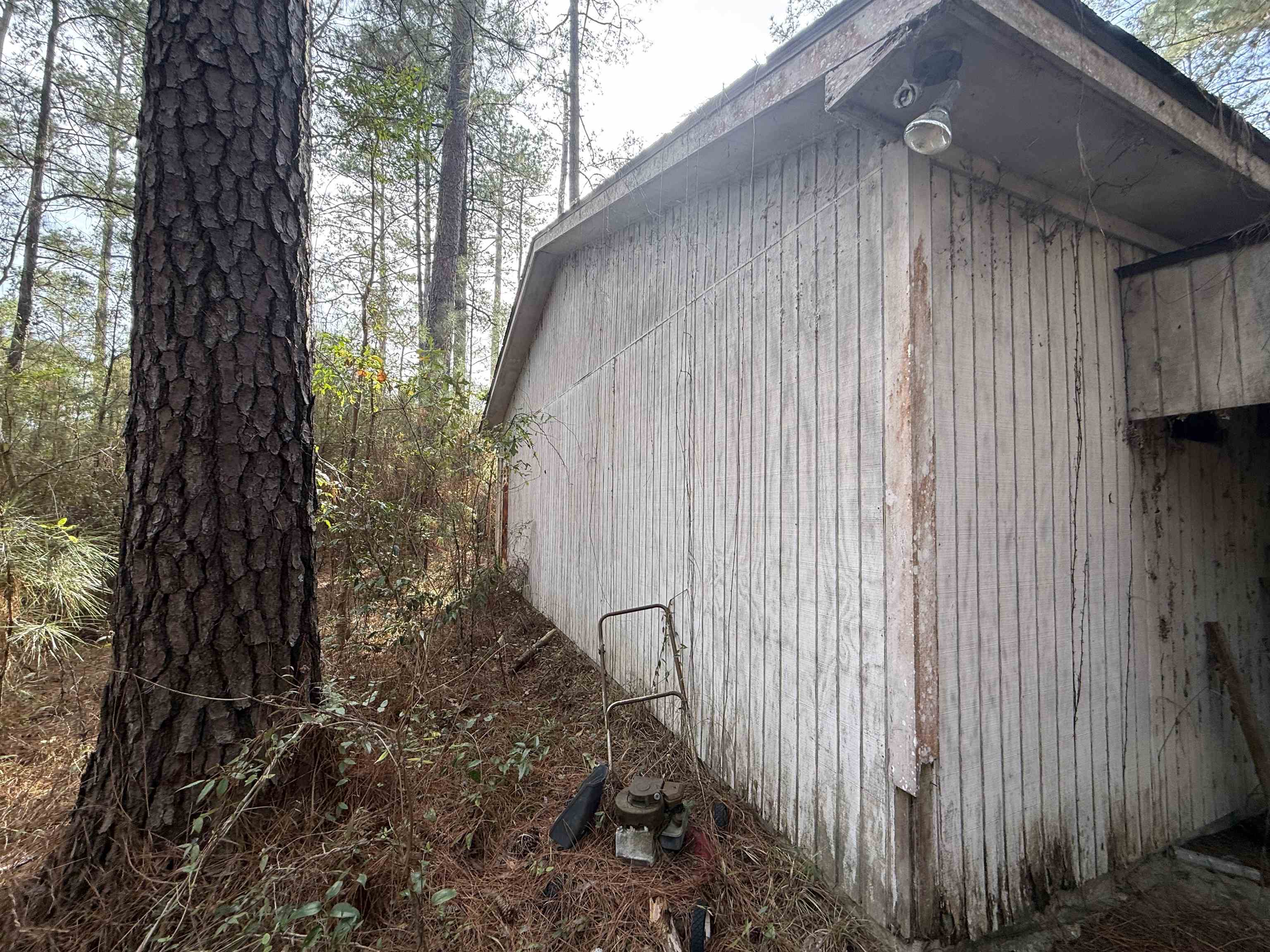 Tbd Georgetown Highway Andrews, SC 29510 - Photo 9 of 12