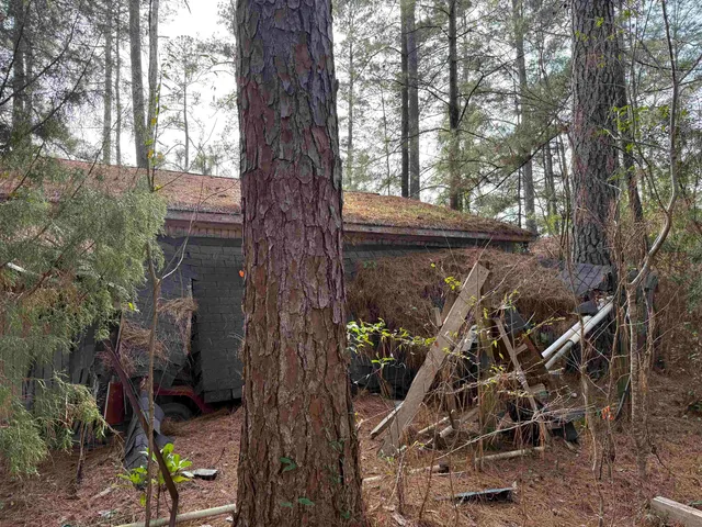 $29,500 | Tbd Georgetown Highway, Andrews, SC 29510