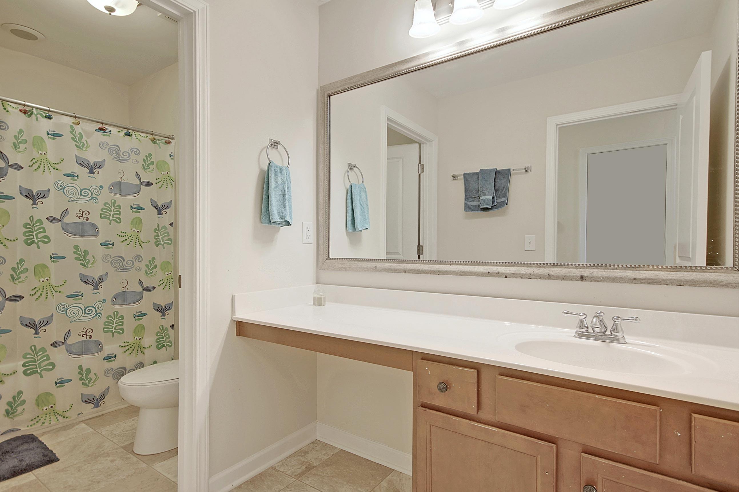 328 Drayton Pl Drive Moncks Corner, SC 29461 - Photo 30 of 38 CREM_328 Drayton Place_034