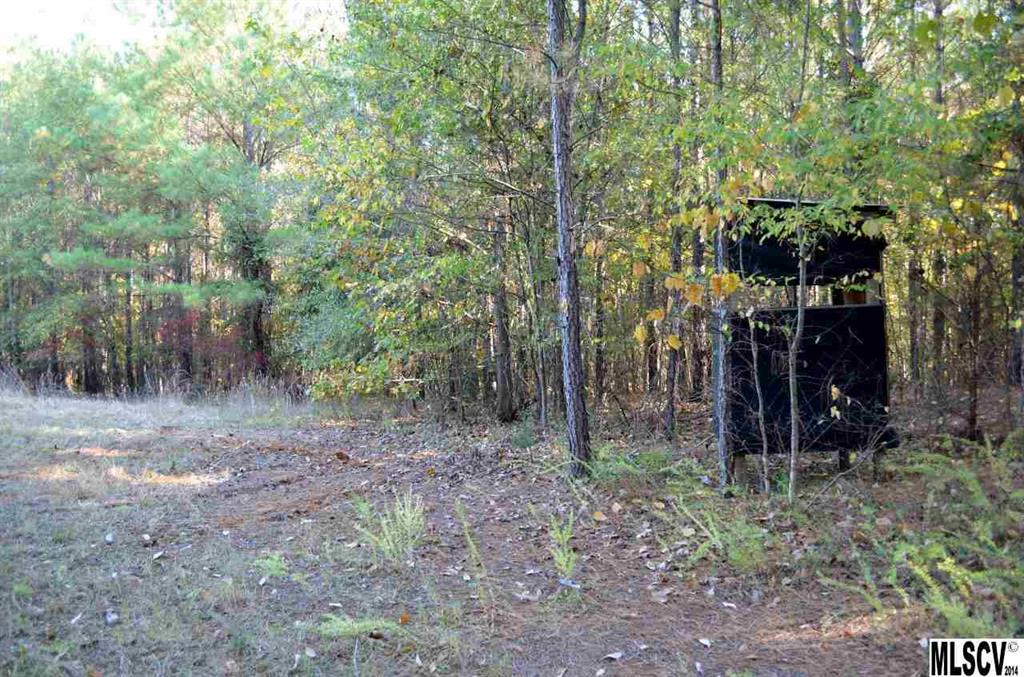 1437 Neal Shoals Road Union, SC 29379 - Photo 15 of 22