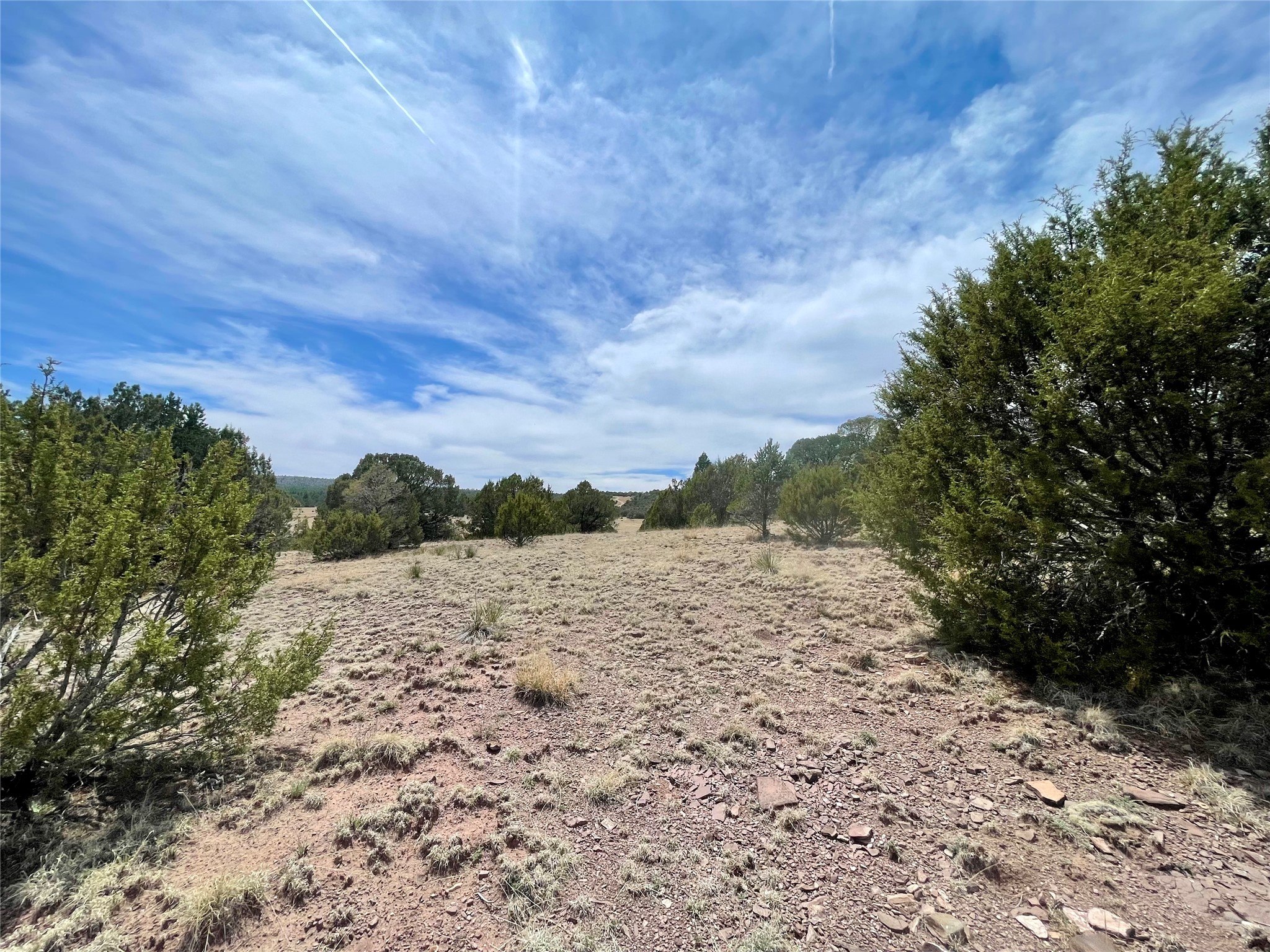 331 Mirasol Road Las Vegas, NM 87701 - Photo 6 of 14
