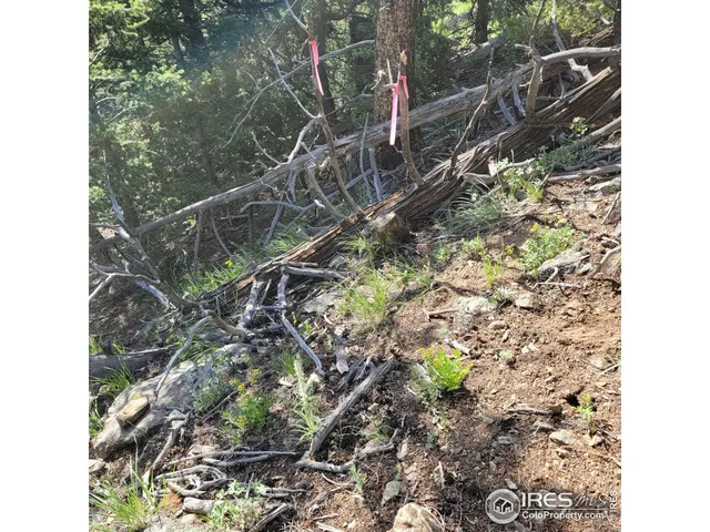 $15,000 | 0 Gold Trail, Boulder, CO 80302