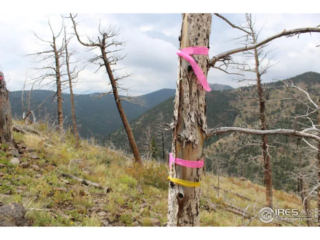 $15,000 | 0 Gold Trail, Boulder, CO 80302