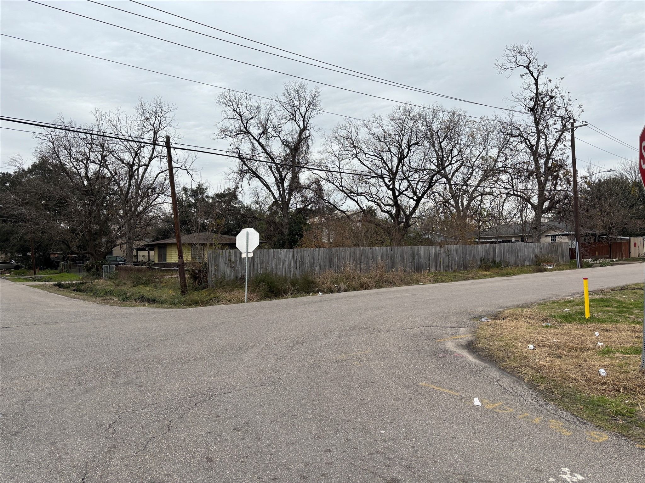 4028 Cornell Street Houston, TX 77022 - Photo 3 of 6 a backyard of a house with lots of green space