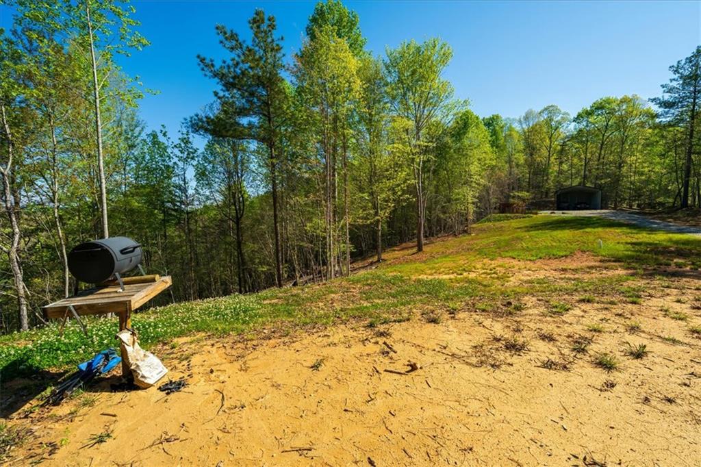 280 Dan Ross Road Six Mile, SC 29682 - Photo 5 of 18 A spacious lot featuring a grilling area, backed by a lush tree line, offering an idyllic setting for outdoor recreation.