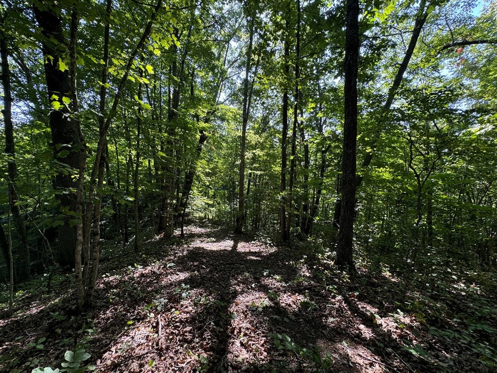 1667 Bandy Road, Unit 62 63A Cedar Bluff, VA 24609 - Photo 9 of 25 Gallery Image 9