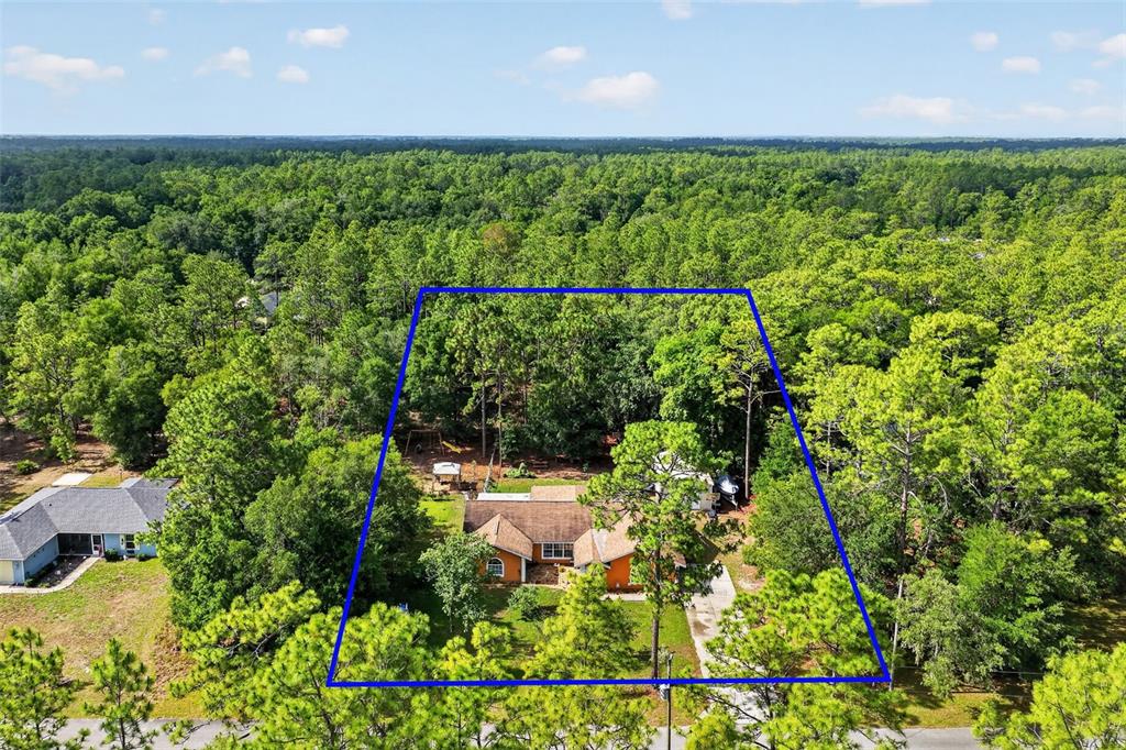18018 Southwest 68th Loop Dunnellon, FL 34432 - Photo 30 of 35