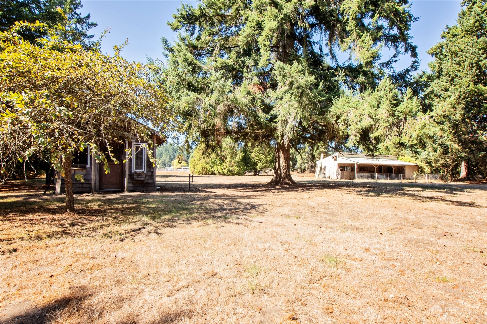 16635 Case Road Southwest Rochester, WA 98579 - Photo 33 of 35 a front view of a house with a yard