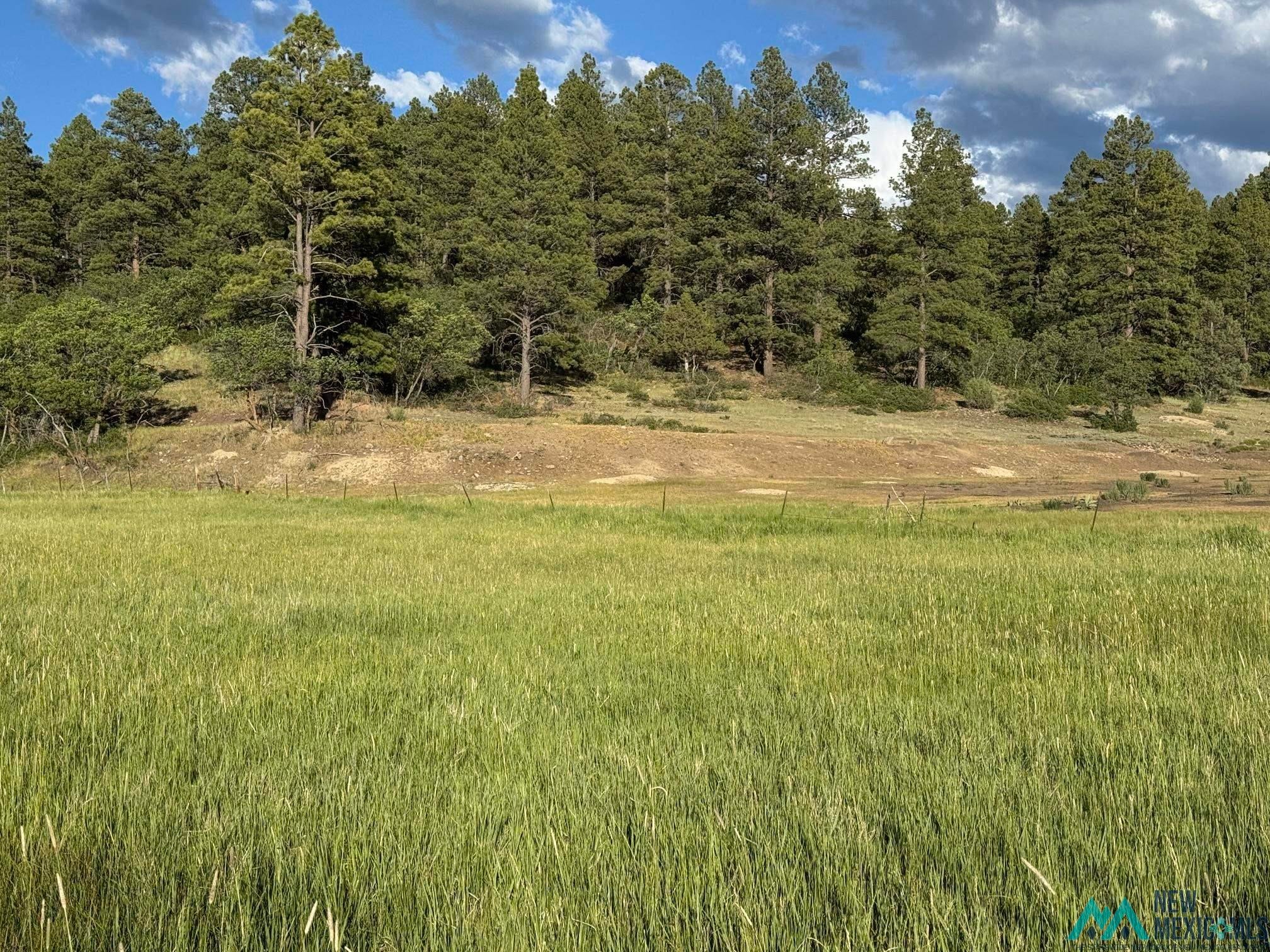 1788 Rd Chama Nm 87520 Road Chama, NM 87520 - Photo 6 of 13 Gallery Image 6