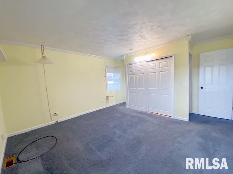 332 Palm Street Canton, IL 61520 - Photo 17 of 42 Gallery Image 17