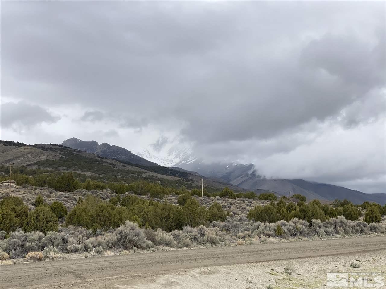 10-acres Harrison Drive Ruby Valley, NV 89833 - Photo 16 of 18 an aerial view of houses covered by trees