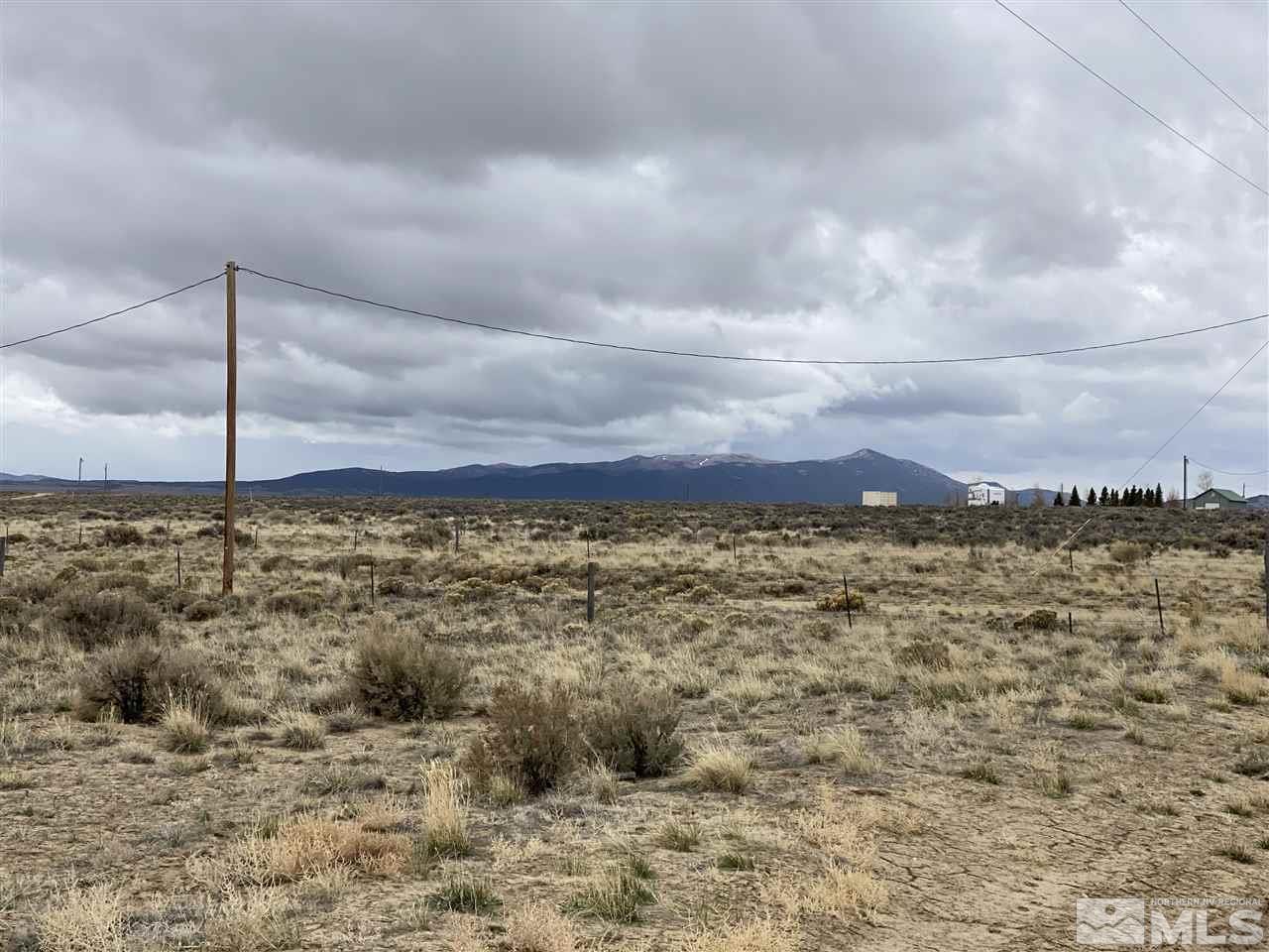 10-acres Harrison Drive Ruby Valley, NV 89833 - Photo 3 of 18 a view of a city