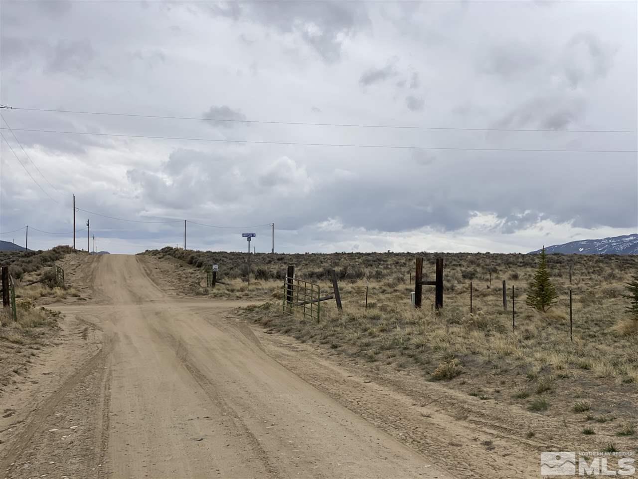 10-acres Harrison Drive Ruby Valley, NV 89833 - Photo 5 of 18