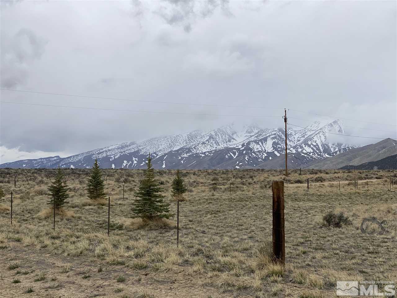 10-acres Harrison Drive Ruby Valley, NV 89833 - Photo 9 of 18