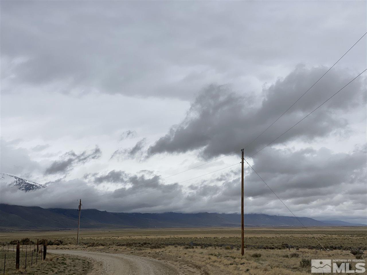 10-acres Harrison Drive Ruby Valley, NV 89833 - Photo 10 of 18