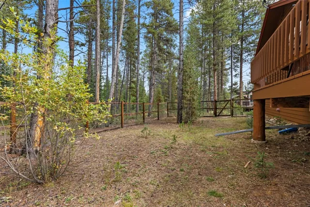 a view of trees and tree in the background