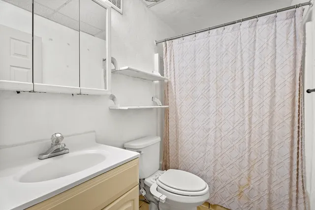 a bathroom with a sink a toilet and vanity