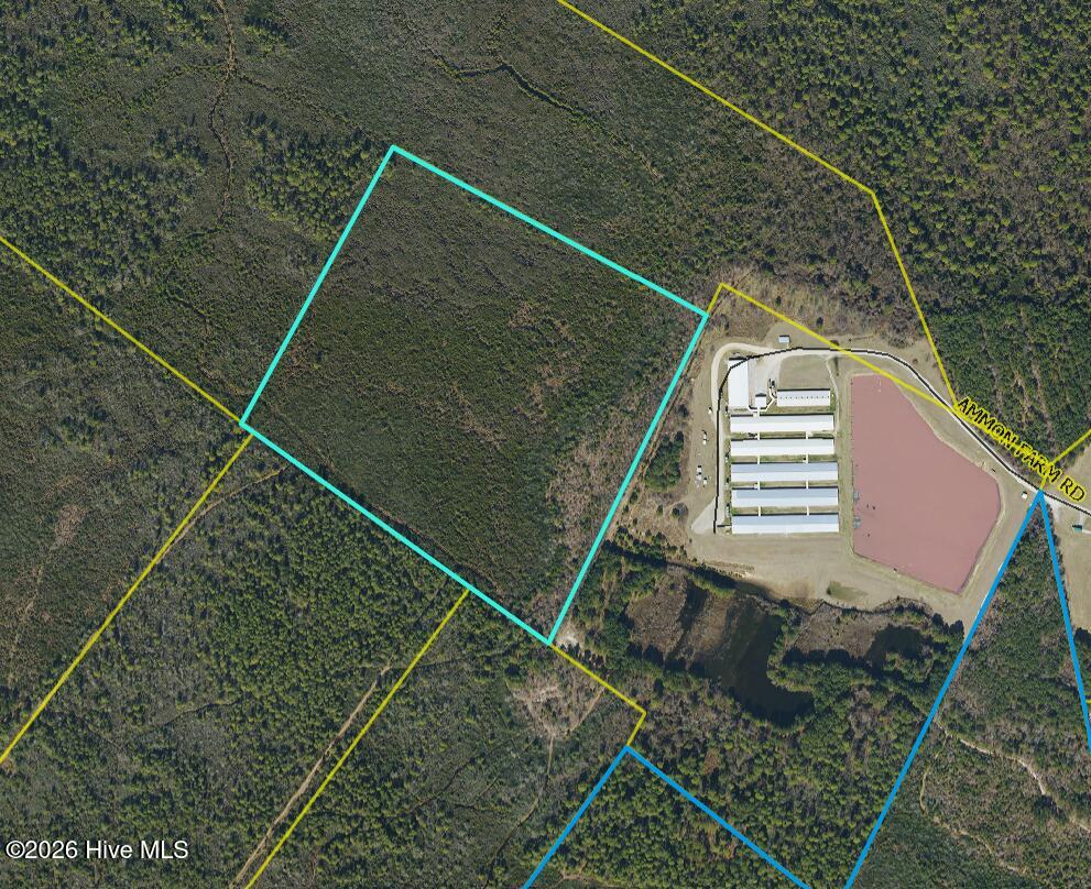 Nance-coble Tract Road Garland, NC 28441 - Photo 1 of 1