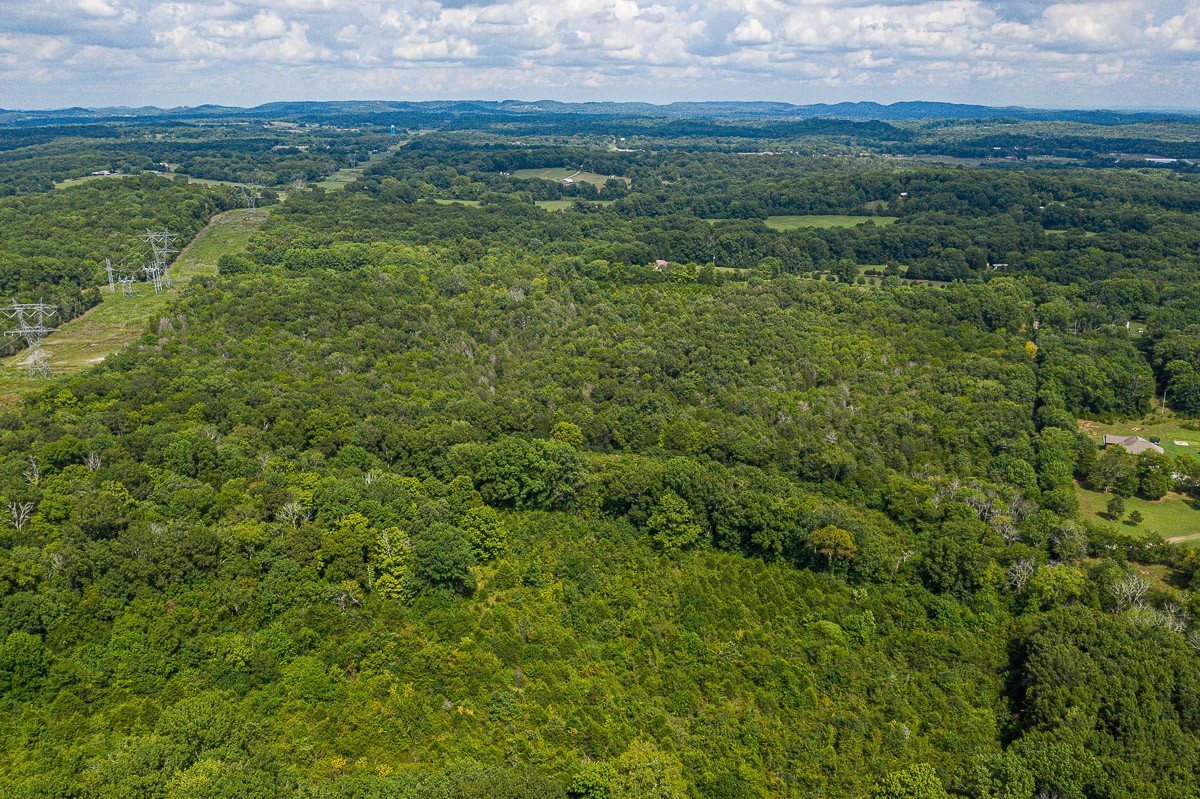 0 Chambers Lane Spring Hill, TN 37174 - Photo 8 of 15