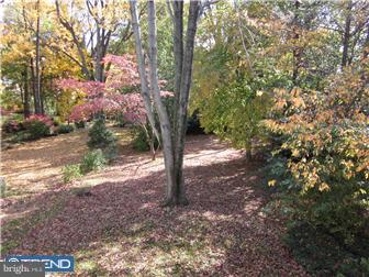 567 Evans Road Springfield, PA 19064 - Photo 11 of 12