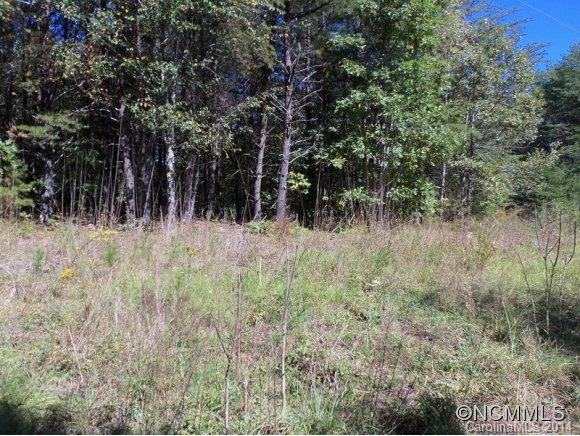 Lot 12 Pipers Nck Lake, Unit 12 Rutherfordton, NC 28139 - Photo 2 of 10