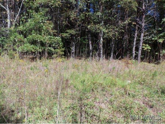 Lot 12 Pipers Nck Lake, Unit 12 Rutherfordton, NC 28139 - Photo 3 of 10