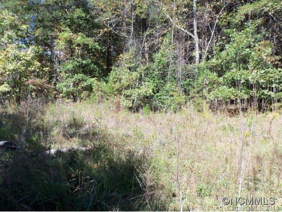 Lot 12 Pipers Nck Lake, Unit 12 Rutherfordton, NC 28139 - Photo 4 of 10