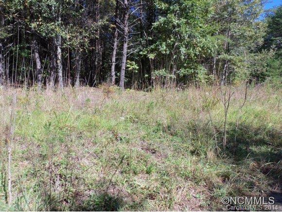 Lot 12 Pipers Nck Lake, Unit 12 Rutherfordton, NC 28139 - Photo 5 of 10
