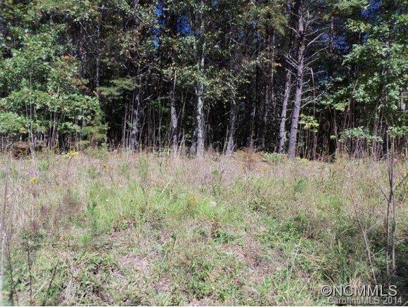 Lot 12 Pipers Nck Lake, Unit 12 Rutherfordton, NC 28139 - Photo 6 of 10