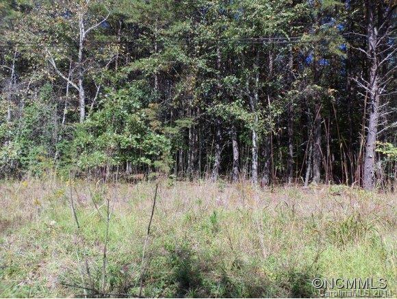 Lot 12 Pipers Nck Lake, Unit 12 Rutherfordton, NC 28139 - Photo 7 of 10
