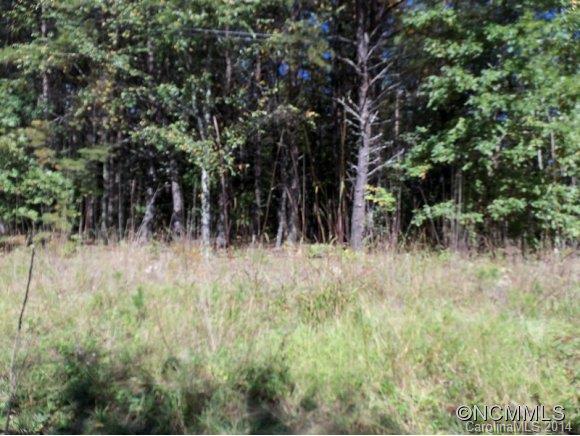 Lot 12 Pipers Nck Lake, Unit 12 Rutherfordton, NC 28139 - Photo 8 of 10