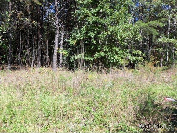 Lot 12 Pipers Nck Lake, Unit 12 Rutherfordton, NC 28139 - Photo 9 of 10