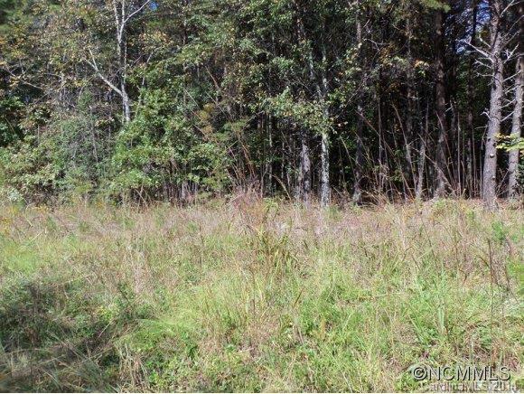 Lot 12 Pipers Nck Lake, Unit 12 Rutherfordton, NC 28139 - Photo 10 of 10