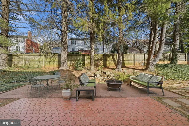 a view of a backyard with large trees and plants