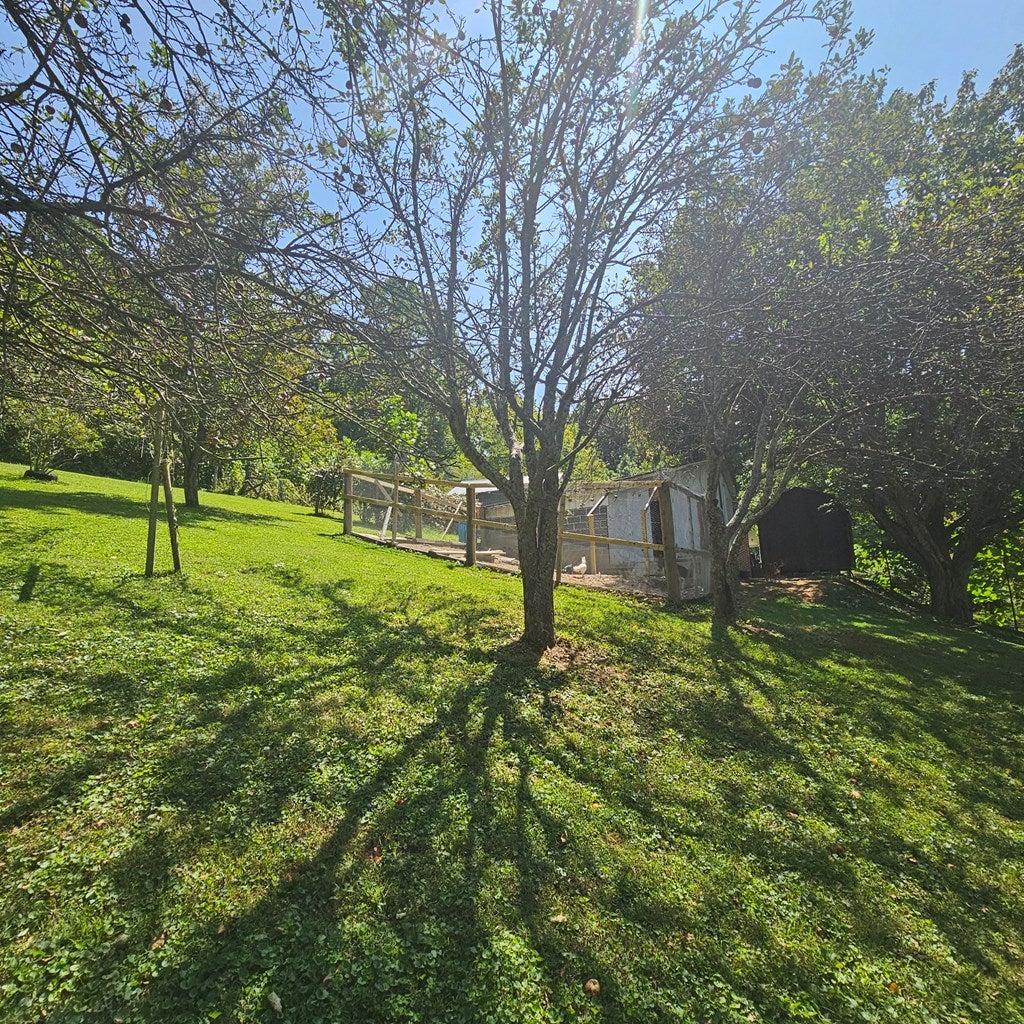 944 Spring Hill Road Cedar Bluff, VA 24609 - Photo 27 of 40 Gallery Image 27